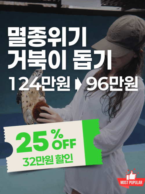 [추석특가] 발리 멸종위기 바다거북 보호
