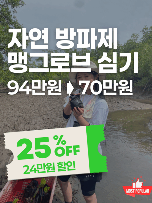 [추석특가] 후아힌 맹그로브 숲 복원