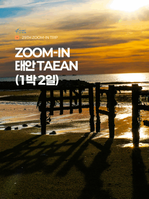 [29th ZOOM-IN 태안] 깨끗한 해변을 지키며  즐기는 태안