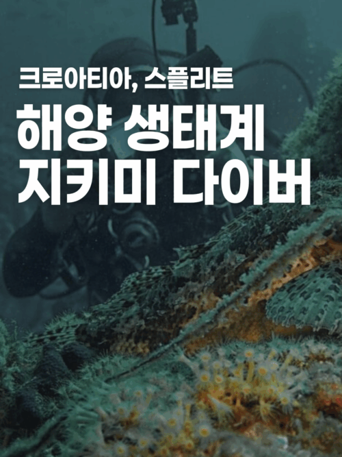 [크로아티아] 해양 생태계 보호 다이빙