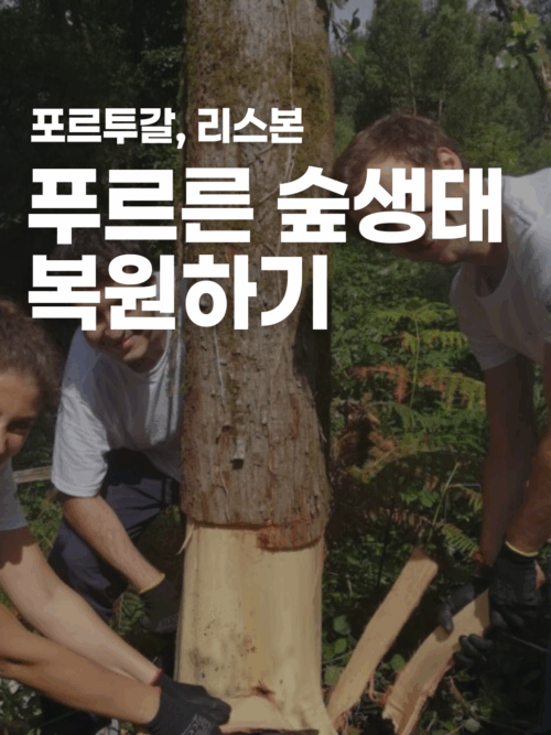 [포르투갈] 산림 생태 복원 프로젝트