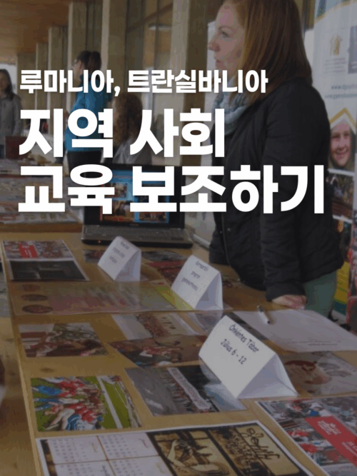 [루마니아] 지역 사회 교육 NGO 보조