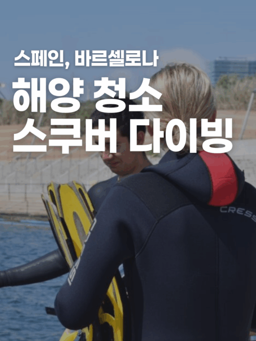[스페인] 해양 청소 스쿠버 다이빙