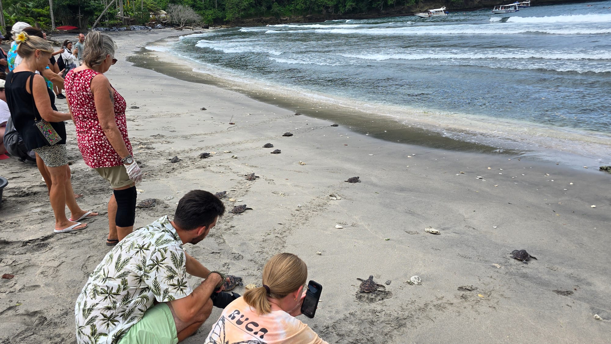 11-2025_Nusa Penida - Turtle Conservation (6)
