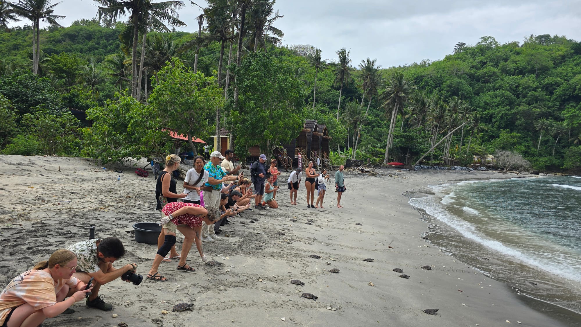 11-2025_Nusa Penida - Turtle Conservation (7)