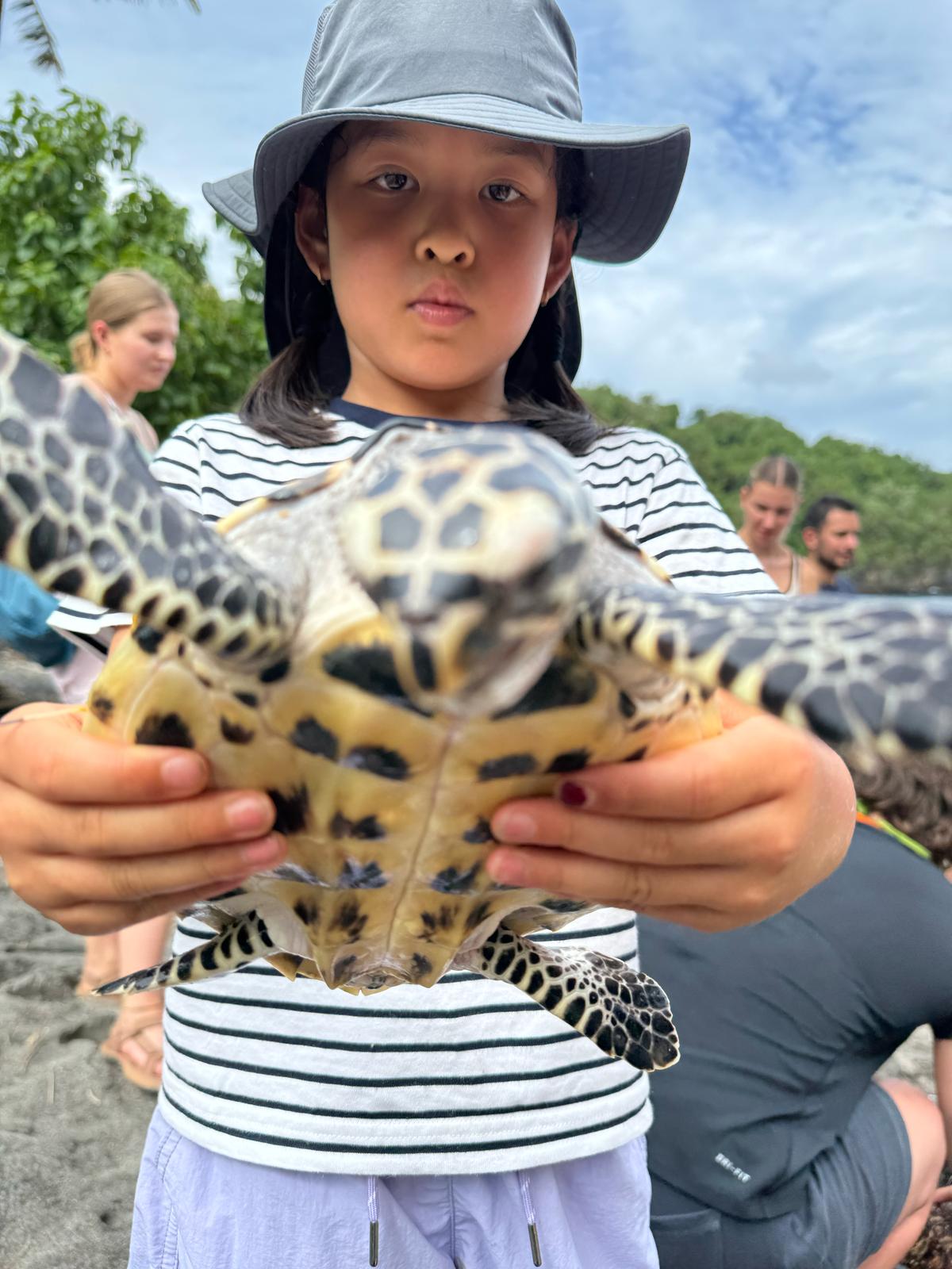 Indonesia (48)