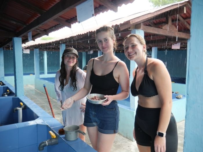 _Turtle Conservation - Nusa Penida (2)