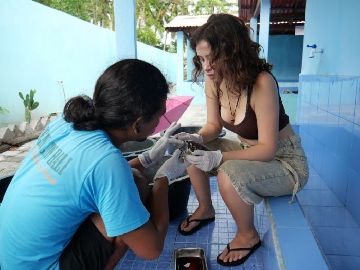 _Turtle Conservation - Nusa Penida (3)