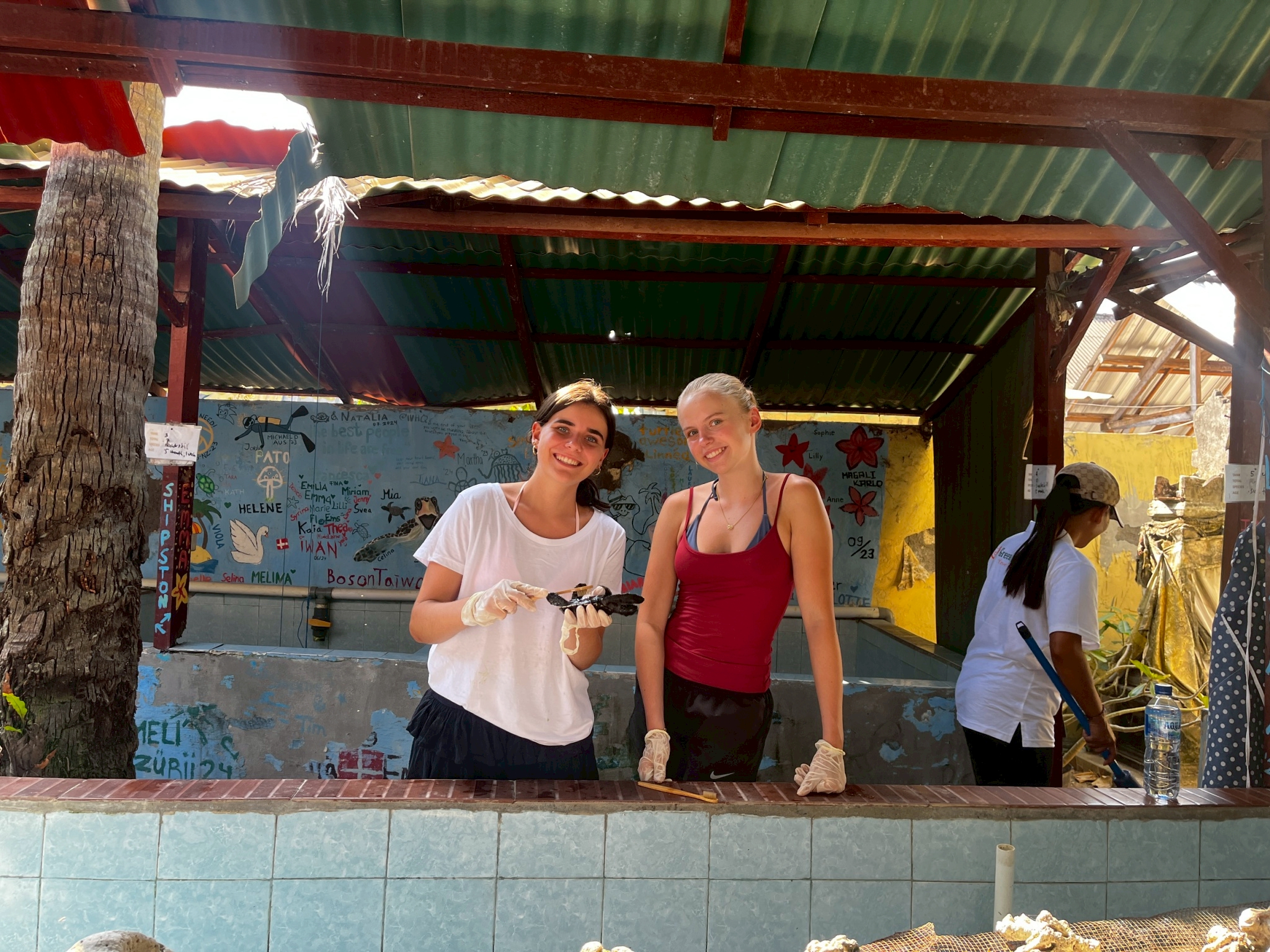 Turtle Conservation - Nusa Penida (5)