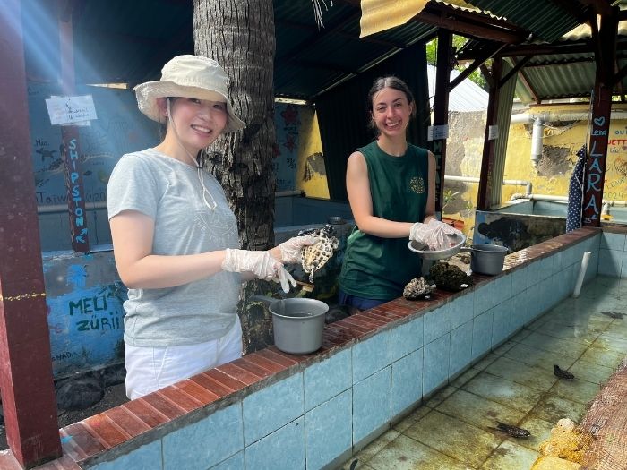 _Turtle Conservation - Nusa Penida (9)