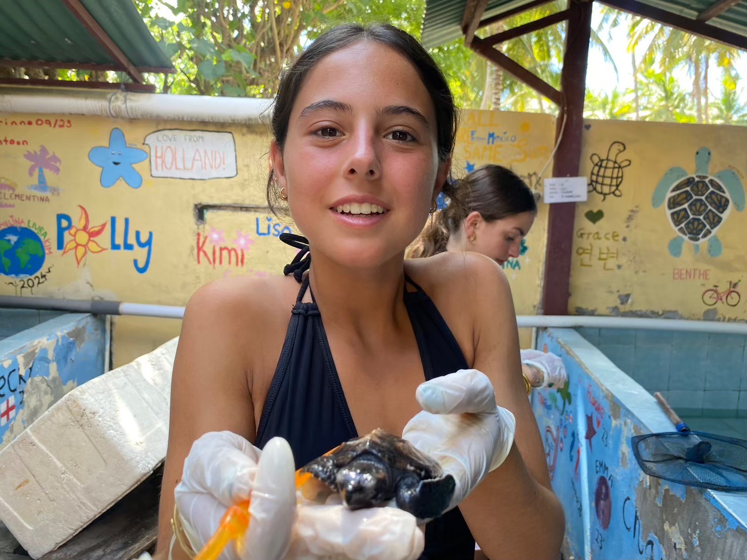 Turtle Conservation (13)