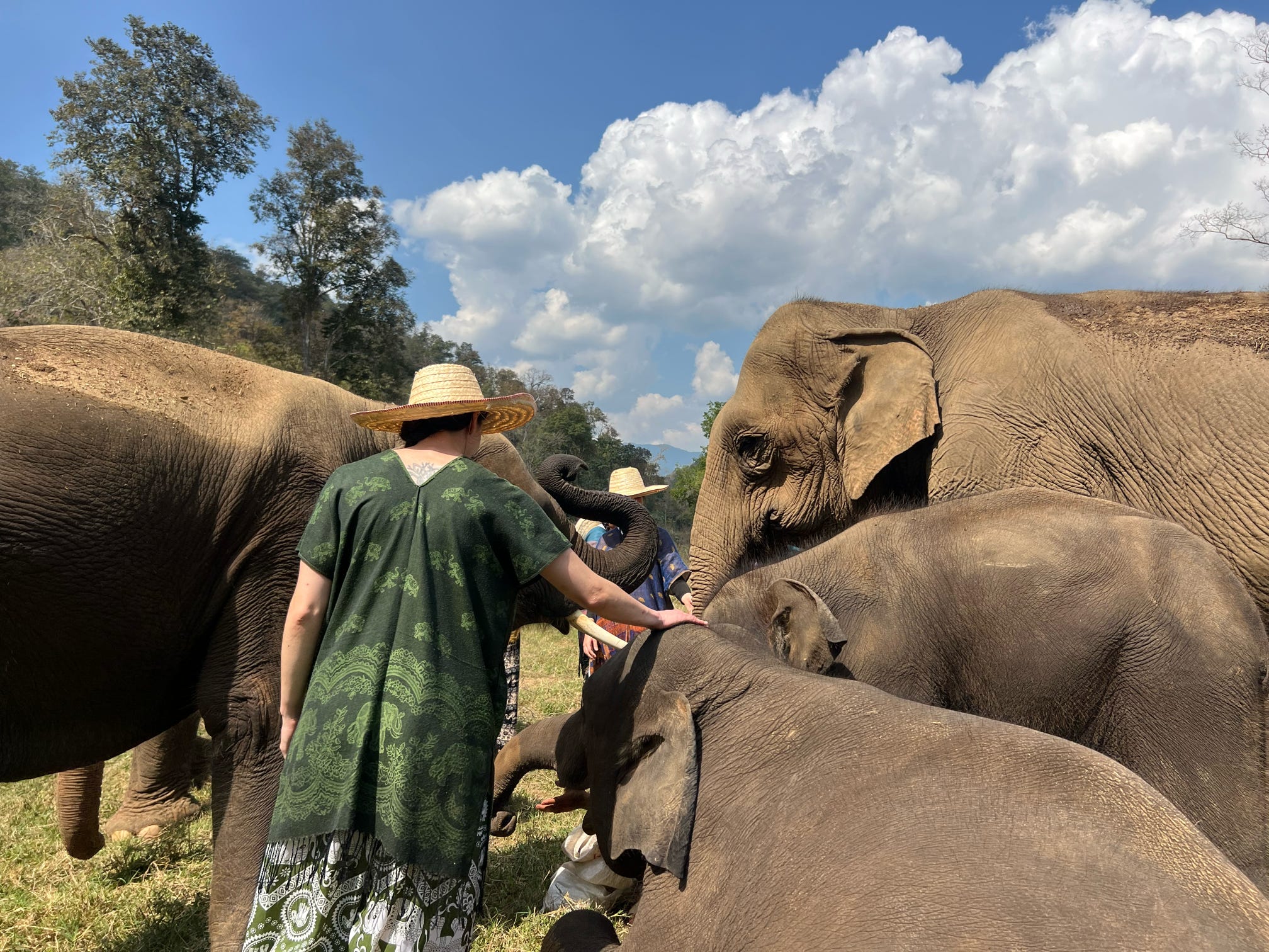 03-2026- Chiang Mai Elephant Experience (1749)