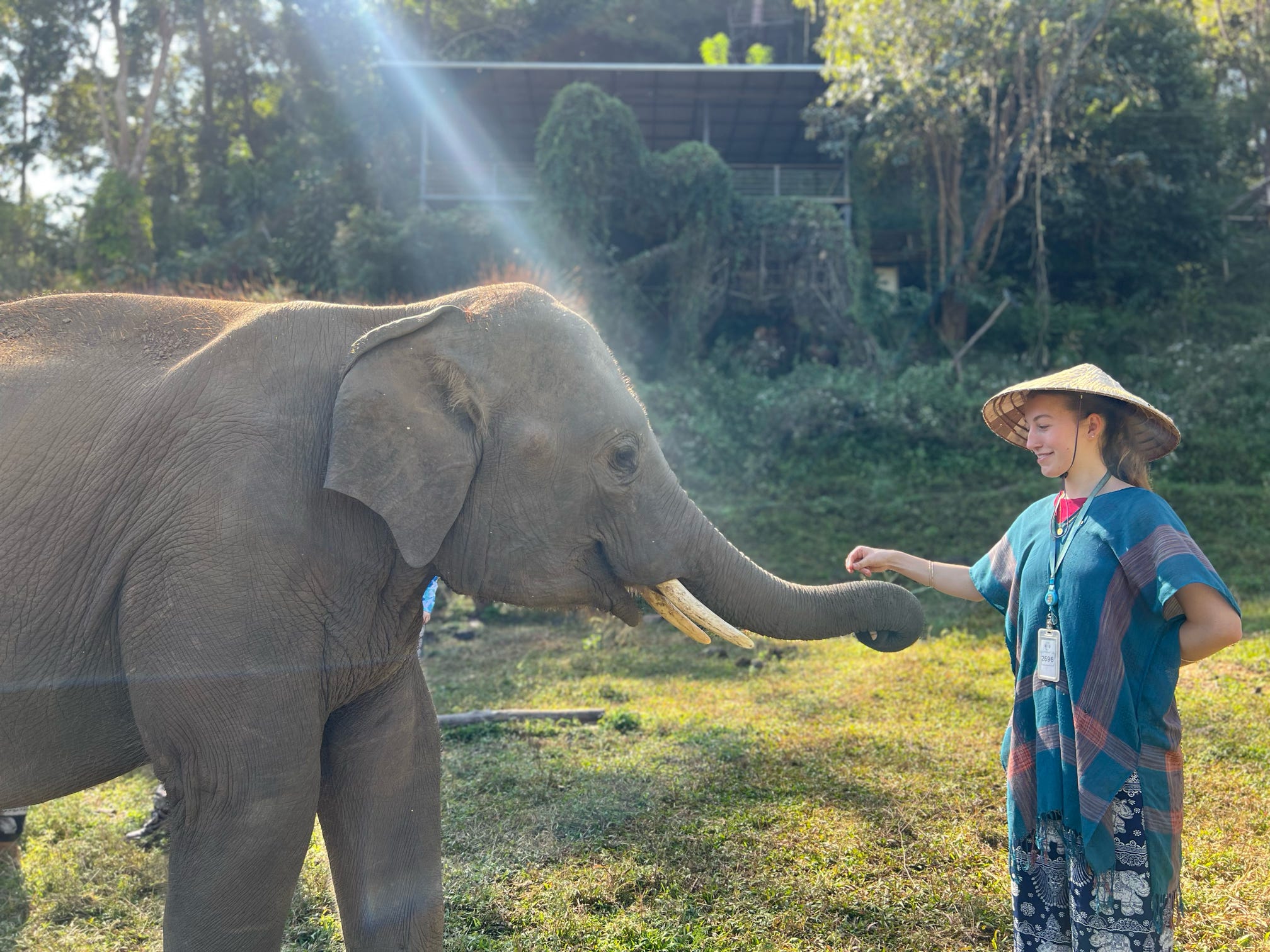 03-2026- Chiang Mai Elephant Experience (2511)