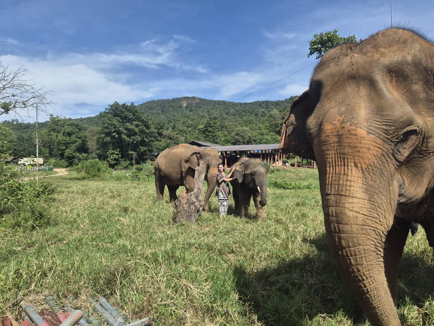 11-2025_Chiang Mai Elephant Experience (3)