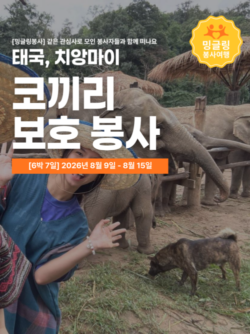 [밍글링봉사여행] 치앙마이 코끼리 보호봉사단