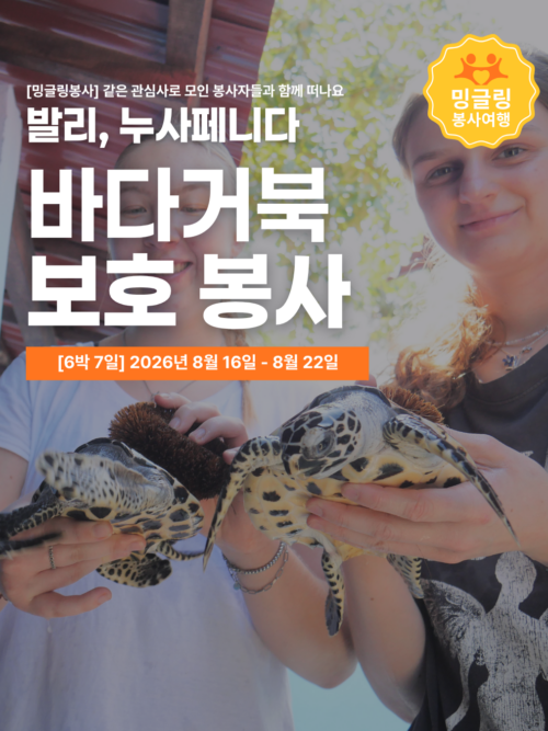 [밍글링봉사여행] 누사페니다 바다거북 보호봉사단