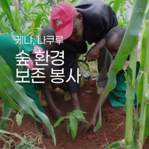[케냐] 숲 및 환경 보존 봉사