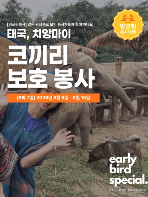 [밍글링봉사여행] 치앙마이 코끼리 보호봉사단