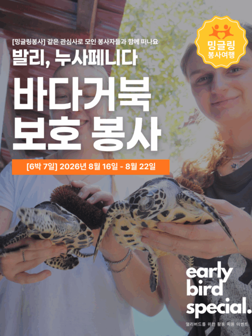 [밍글링봉사여행] 누사페니다 바다거북 보호봉사단