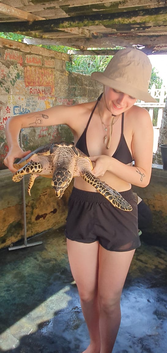 Ambangloda Turtle Conservation (8)