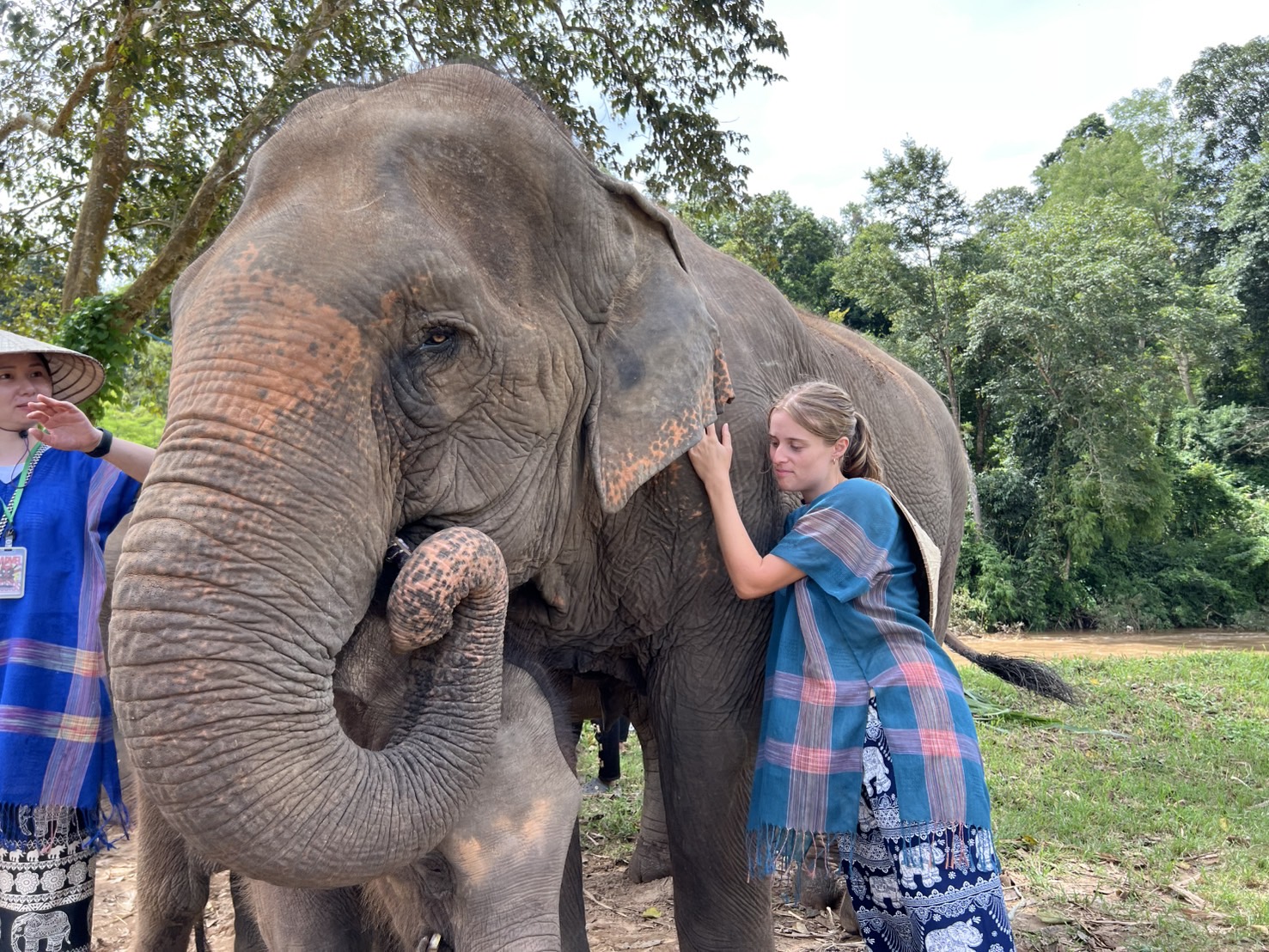 CNX Elephant Conservation (12)