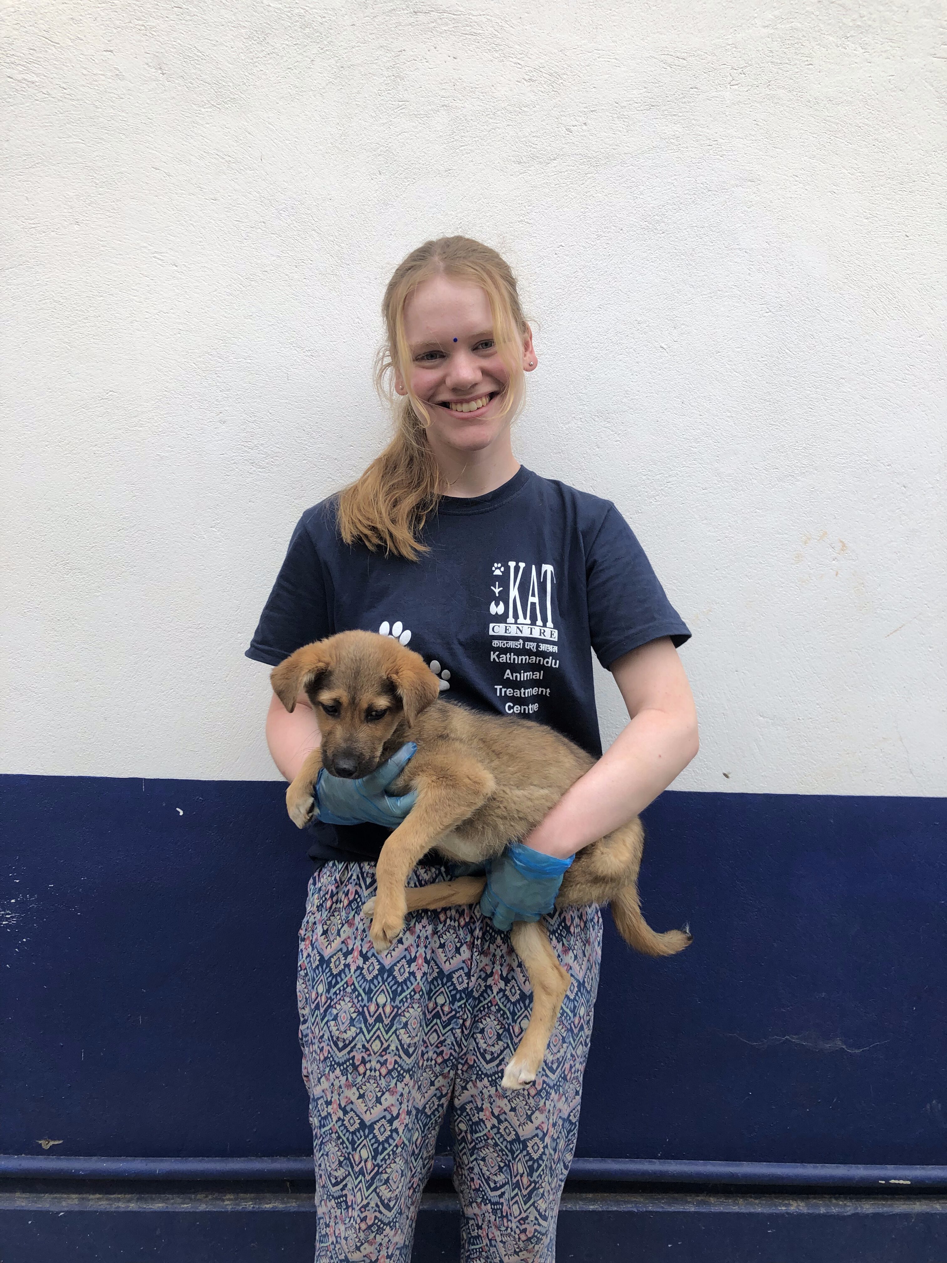 Canina Rehabilitation