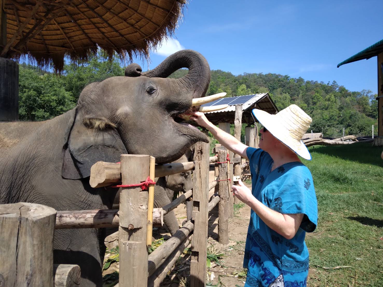 _Chiang Mai Elephant Care (13)