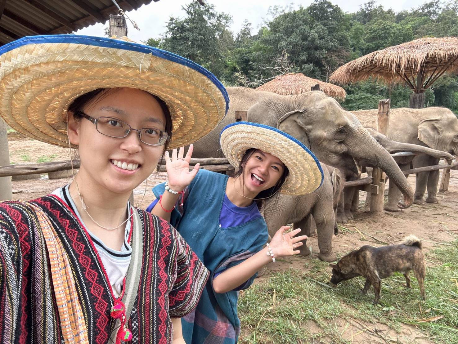 _Chiang Mai Elephant Experience