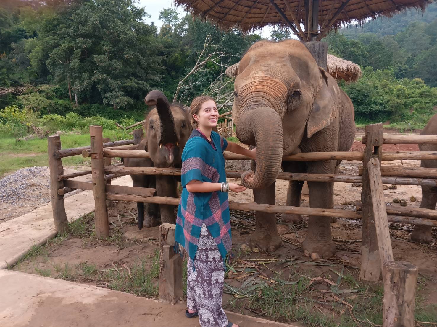 Elephant Conservation - CNX (19)