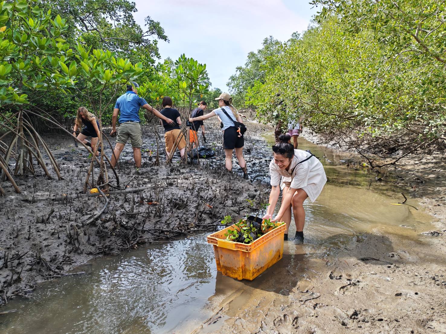 Environmental Conservation - August 2025 (19)