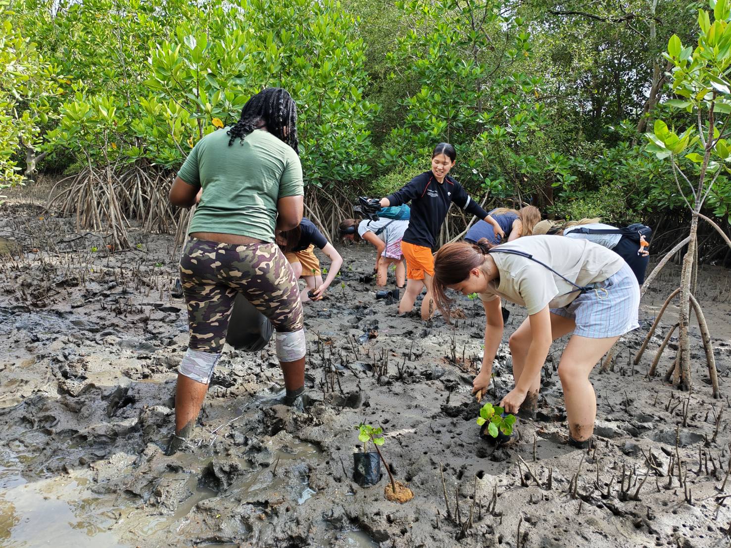 Environmental Conservation - August 2025 (20)