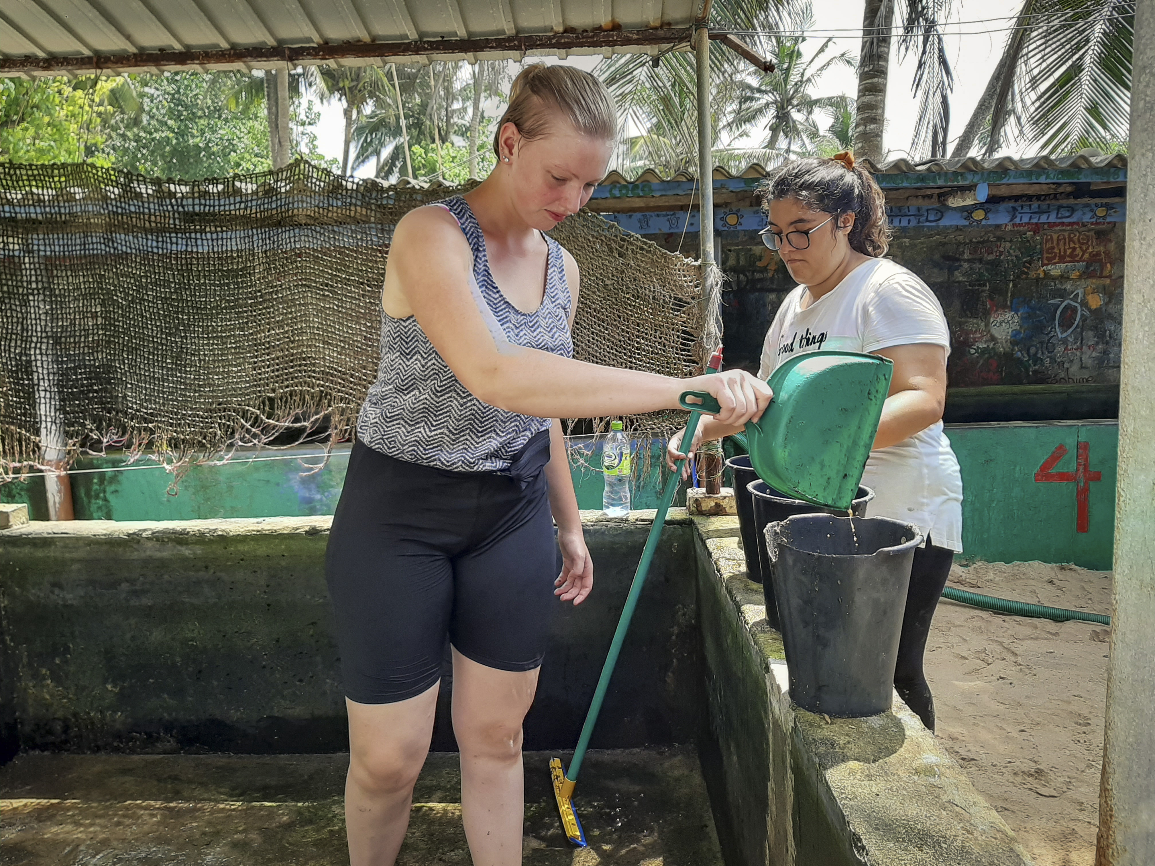 Sri Lanka Turtle project_Update19-24