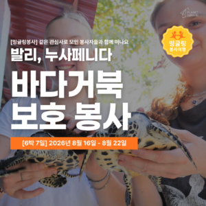 [밍글링봉사여행] 2026년 여름 바다거북 보호봉사단