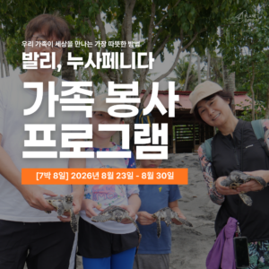 [누사페니다/8월23일 출발] 2026년 여름 가족 해외봉사