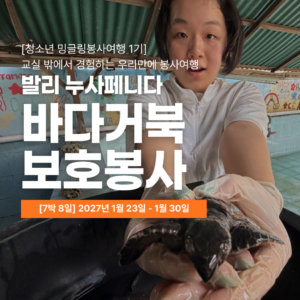 [청소년 밍글링 봉사여행] 2027년 겨울 발리 바다 거북 보호 봉사단