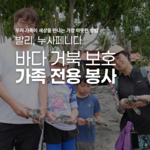 [발리] 바다 거북 보호 가족 봉사