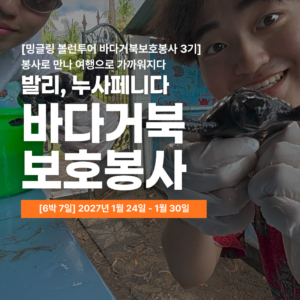 [밍글링봉사여행] 2027년 겨울 발리 바다거북 보호봉사단
