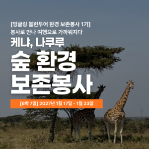 [밍글링봉사여행] 2027년 겨울 케냐 환경 보존봉사단