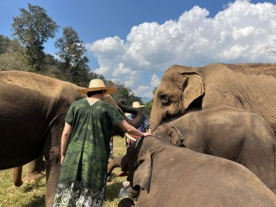03-2026- Chiang Mai Elephant Experience (1749)
