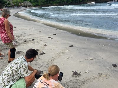 11-2025_Nusa Penida - Turtle Conservation (6)
