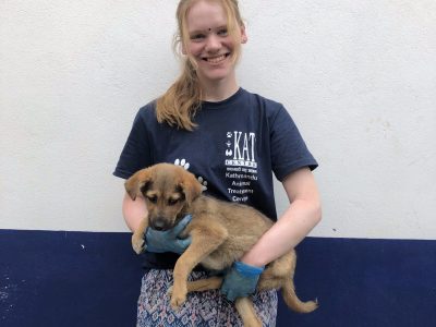 Canina Rehabilitation