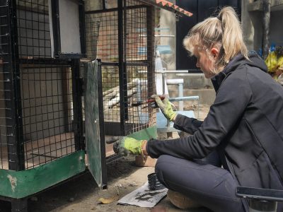 Dog Project