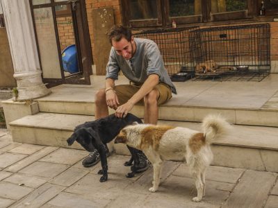 Dog project NP-9
