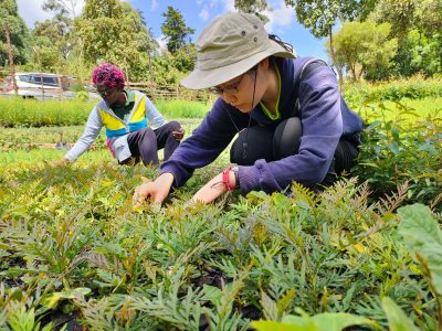 _Environmental Conservation (1)
