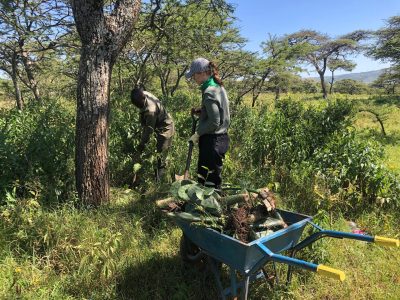 Environmental Conservation