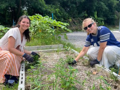 Environmental Conservation (75)